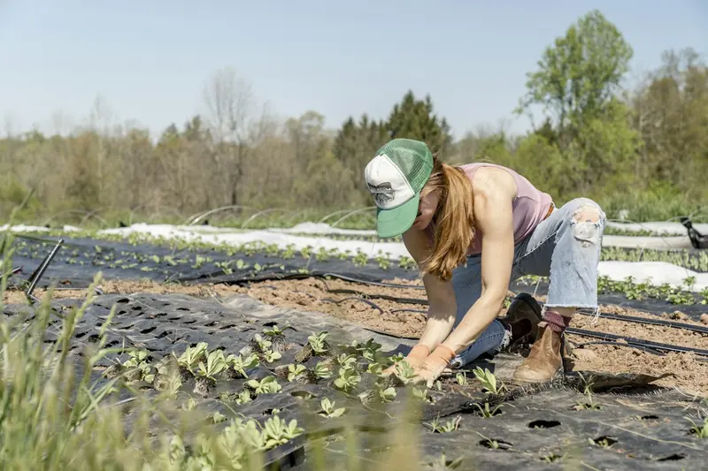 Farmer using a tablet in the field